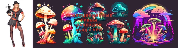 ALPHA PVP Беломорск