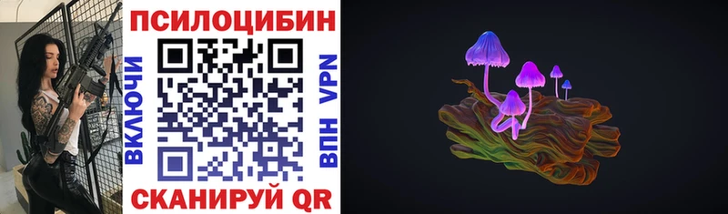 Галлюциногенные грибы Cubensis  продажа наркотиков  Юрьев-Польский 